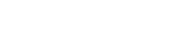 ZILEX Logo